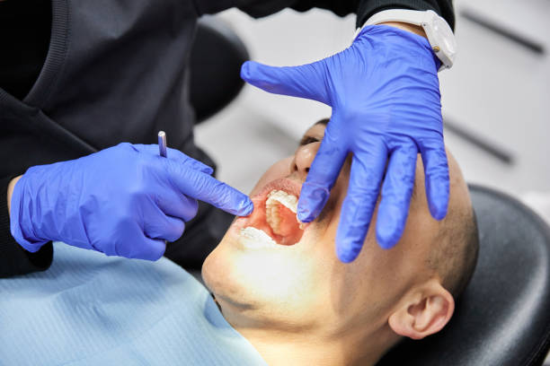 Best Emergency Cosmetic Dentistry (e.g., broken veneers) in Beecher, MI